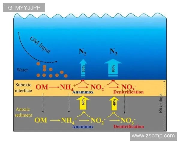 武汉乒乓球队进攻体系解析与战术运用的深度探讨