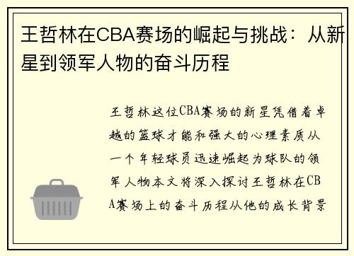 王哲林在CBA赛场的崛起与挑战：从新星到领军人物的奋斗历程